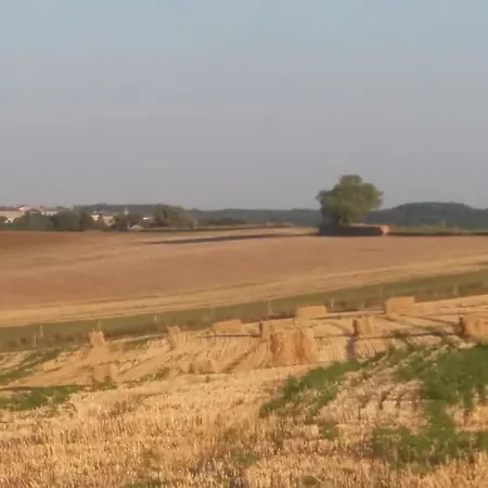 Quercy Blanc Maison En Pierre Prázdninový dům Lauzerte